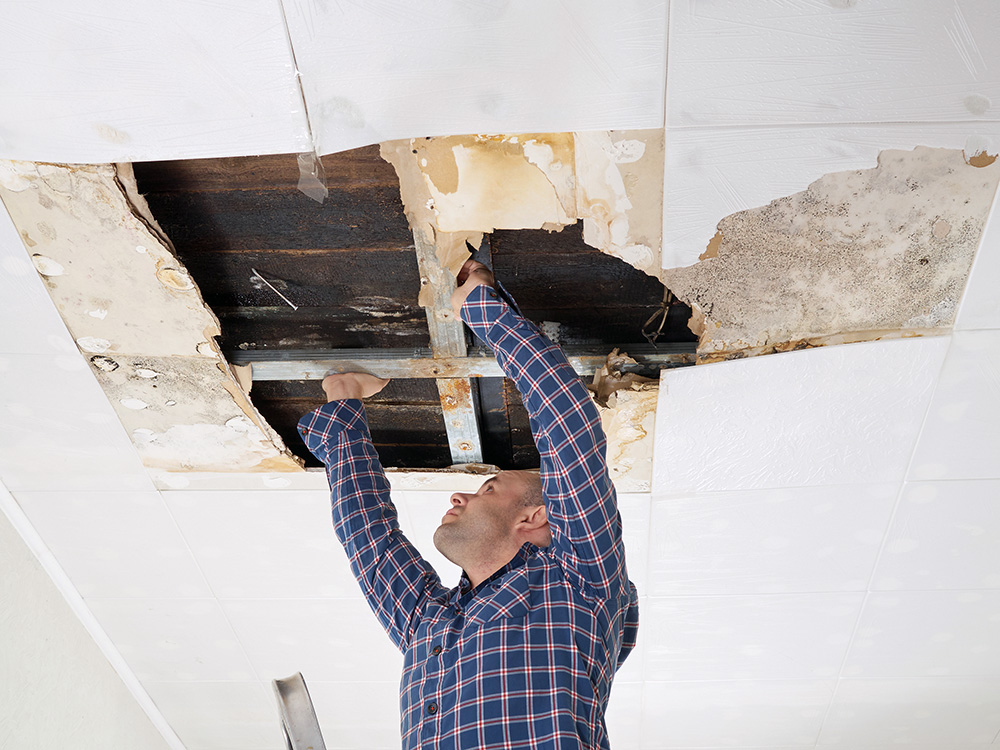 Schadensfeststellung am Gebäude – Feuchtigkeit und Bauschäden prüfen Mann untersucht einen Wasserschaden an der Decke mit geöffneten Deckenplatten und Schimmelspuren